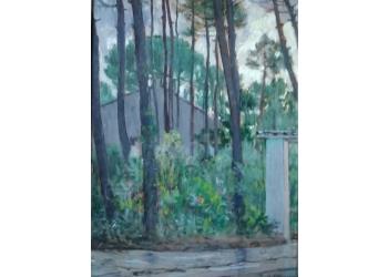 angolo della mia pineta angolo della mia pineta